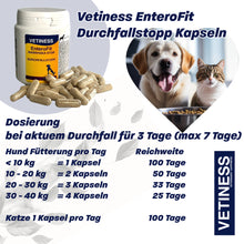 Chargez l'image dans la visionneuse de galerie, Capsules anti-diarrhée Vetiness EnteroFit