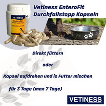 Chargez l'image dans la visionneuse de galerie, Capsules anti-diarrhée Vetiness EnteroFit