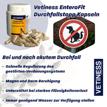 Chargez l'image dans la visionneuse de galerie, Capsules anti-diarrhée Vetiness EnteroFit