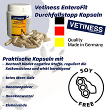 Chargez l'image dans la visionneuse de galerie, Capsules anti-diarrhée Vetiness EnteroFit