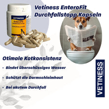 Chargez l'image dans la visionneuse de galerie, Capsules anti-diarrhée Vetiness EnteroFit