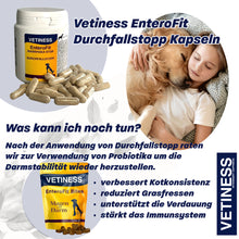 Chargez l'image dans la visionneuse de galerie, Capsules anti-diarrhée Vetiness EnteroFit