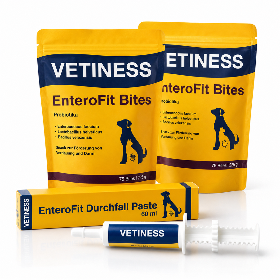Verdauungsset für Hunde – 2 Beutel Vetiness EnteroFit Bites und EnteroFit Durchfall Paste 60 ml
