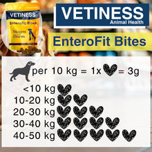 Chargez l'image dans la visionneuse de galerie, Vetiness EnteroFit Bites – L'amour commence dans le ventre