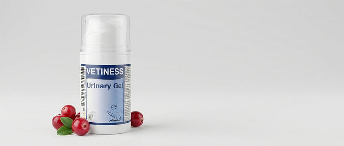 Vetiness Urinary Gel – Pumpflasche mit Cranberries
