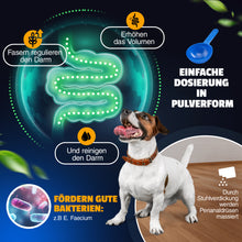 Chargez l&#39;image dans la visionneuse de galerie, Vetiness Fiber Active Probiotics - pour une bonne santé intestinale - Enterococcus Faecium - favorise la croissance de bactéries intestinales bénéfiques
