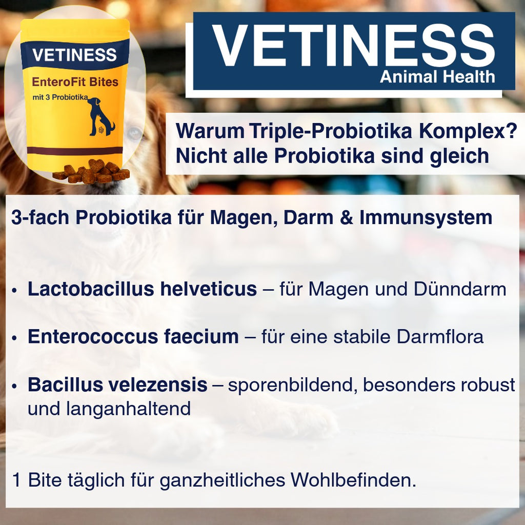 Vetiness EnteroFit Bites – L'amour commence dans le ventre