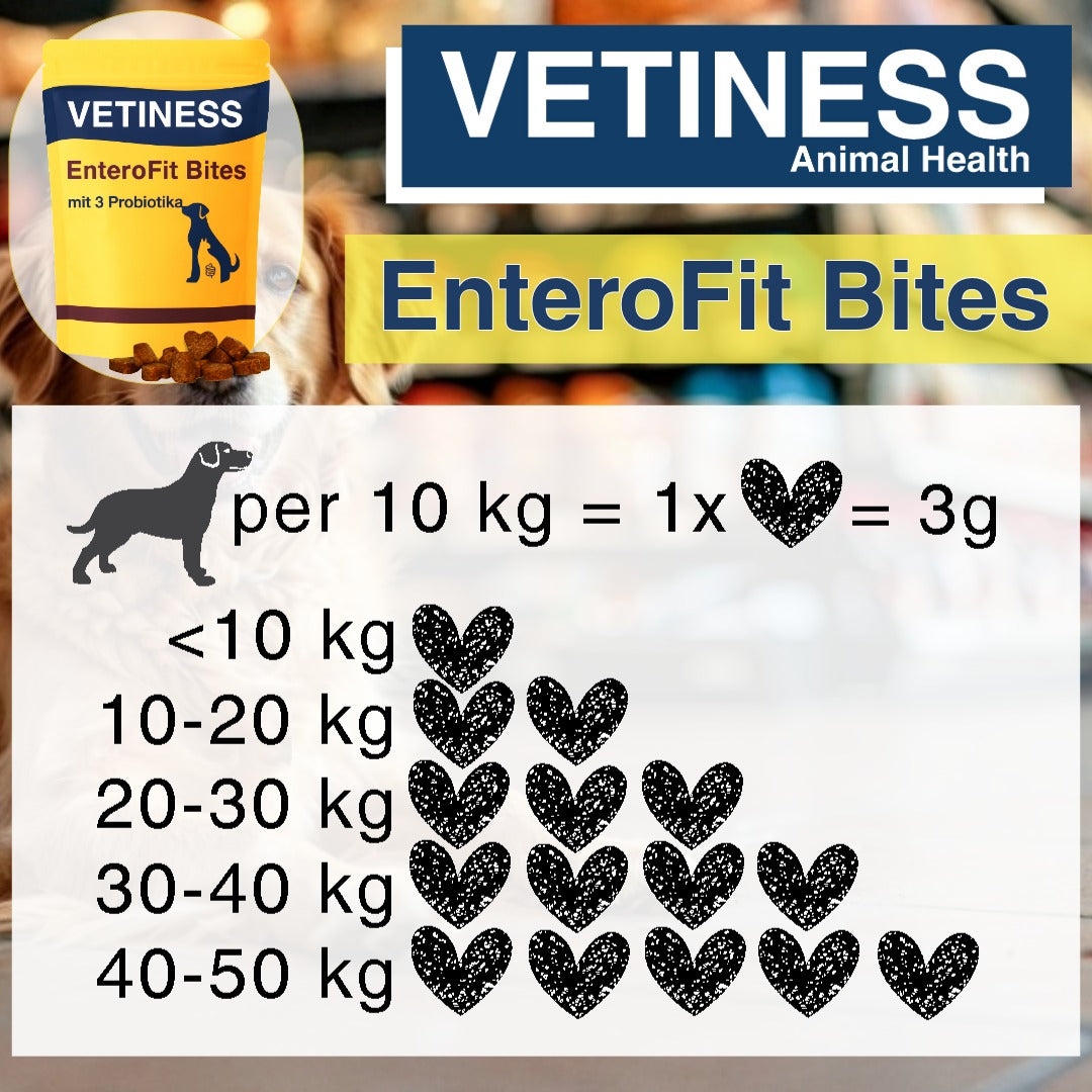 Vetiness EnteroFit Bites – L'amour commence dans le ventre