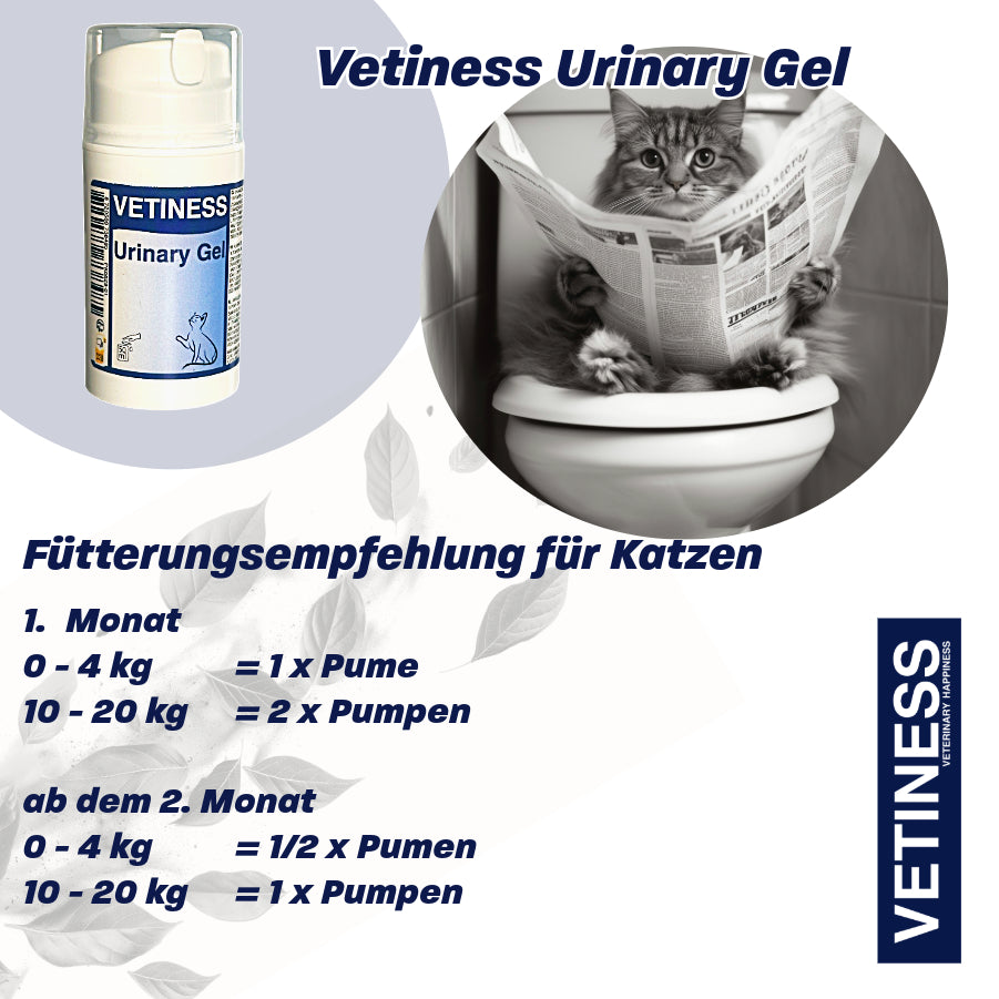 Gel Urinaire Vetiness