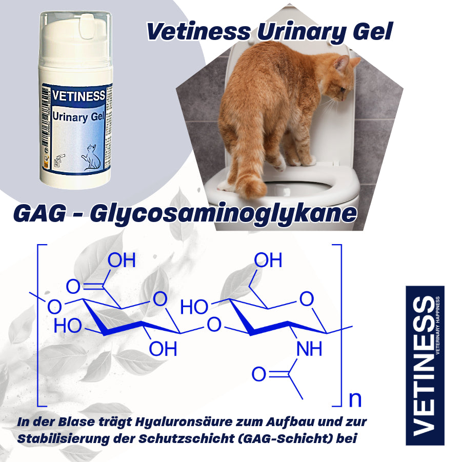 Gel Urinaire Vetiness