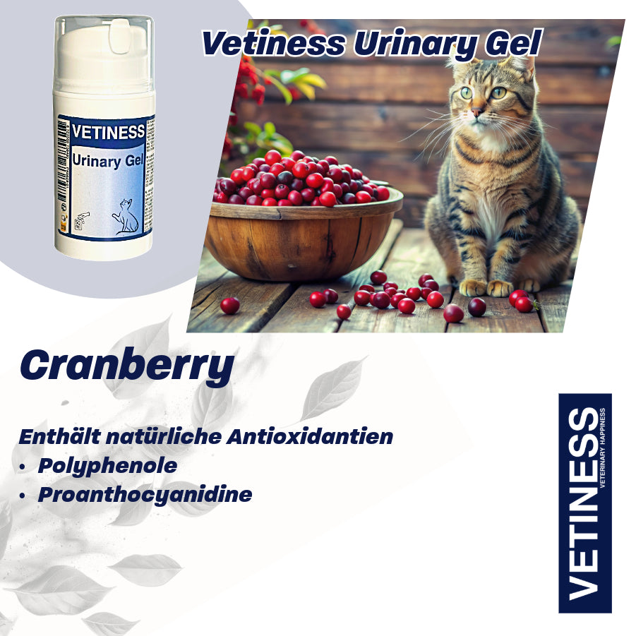 Gel Urinaire Vetiness