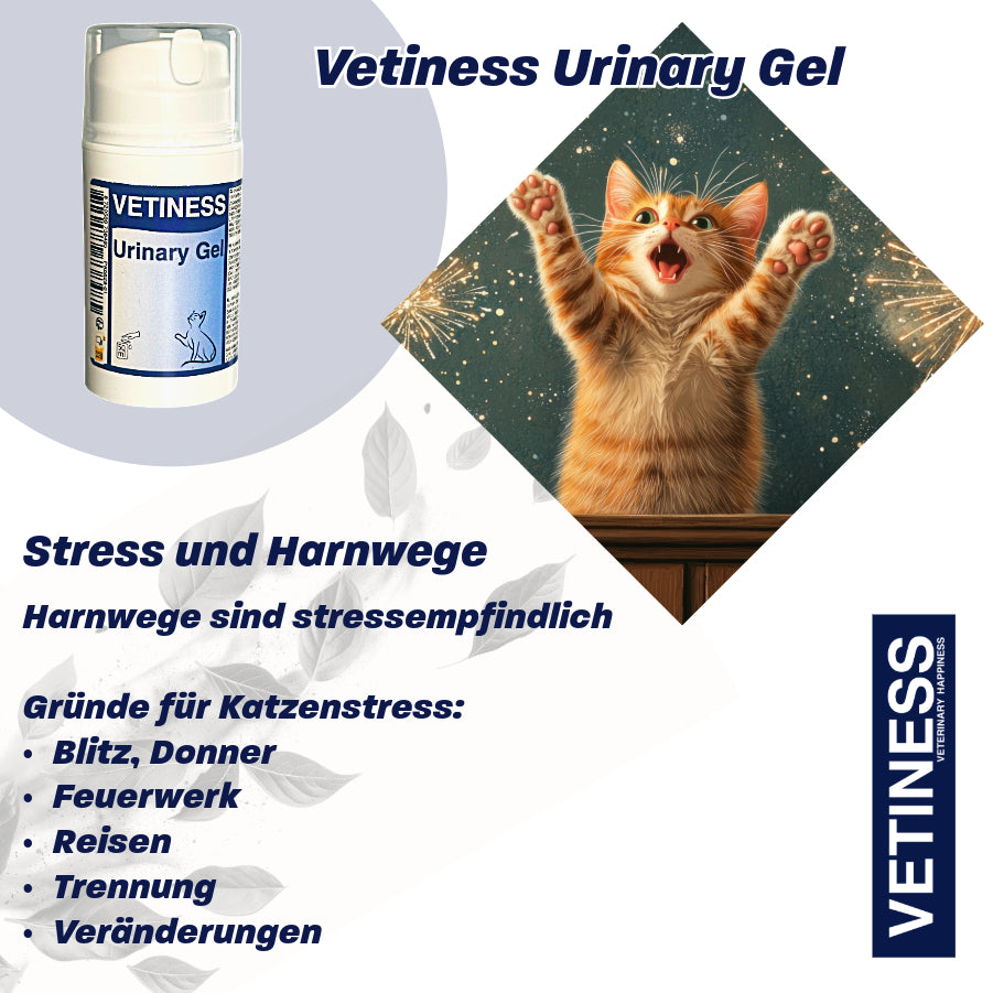 Gel Urinaire Vetiness