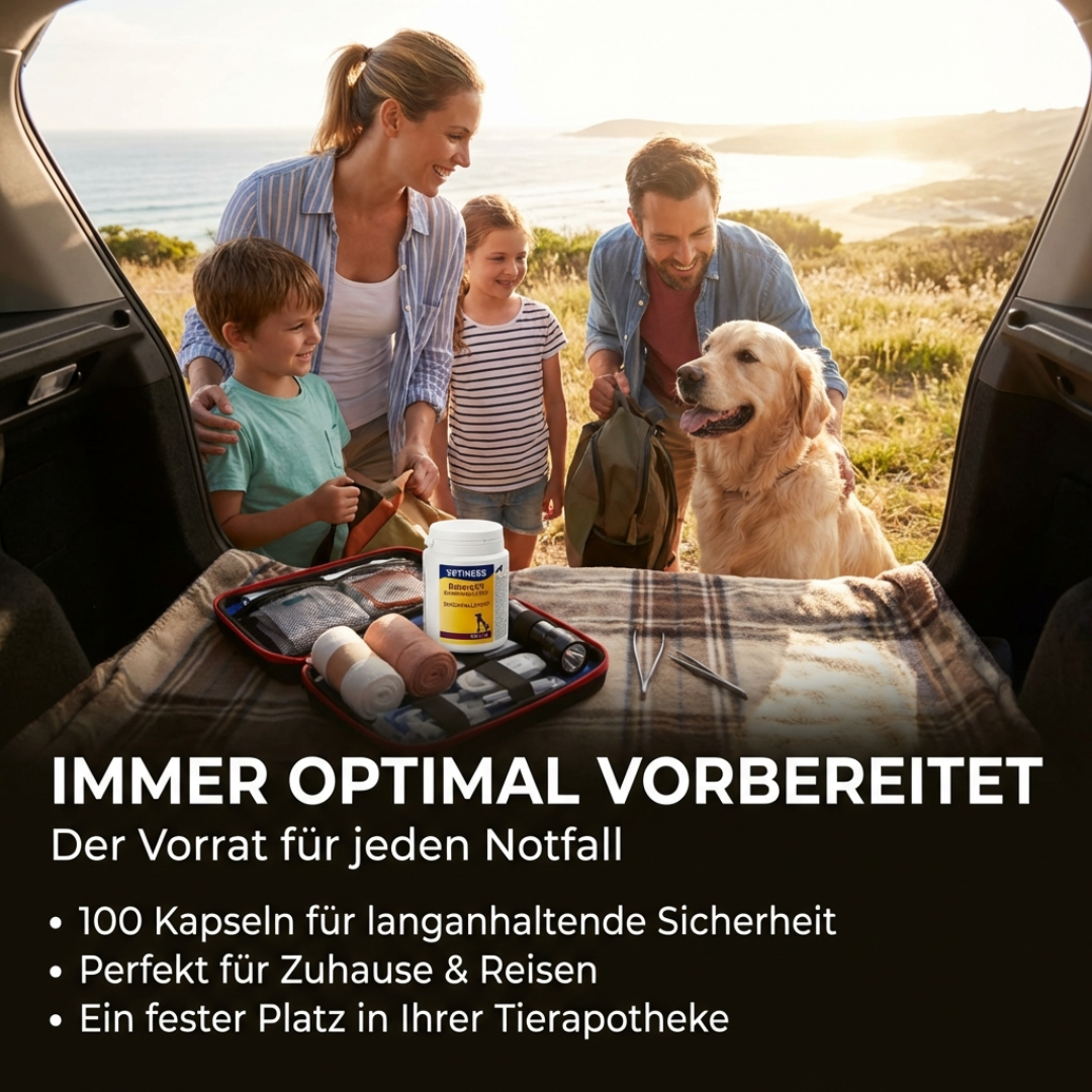 Capsules anti-diarrhée Vetiness EnteroFit