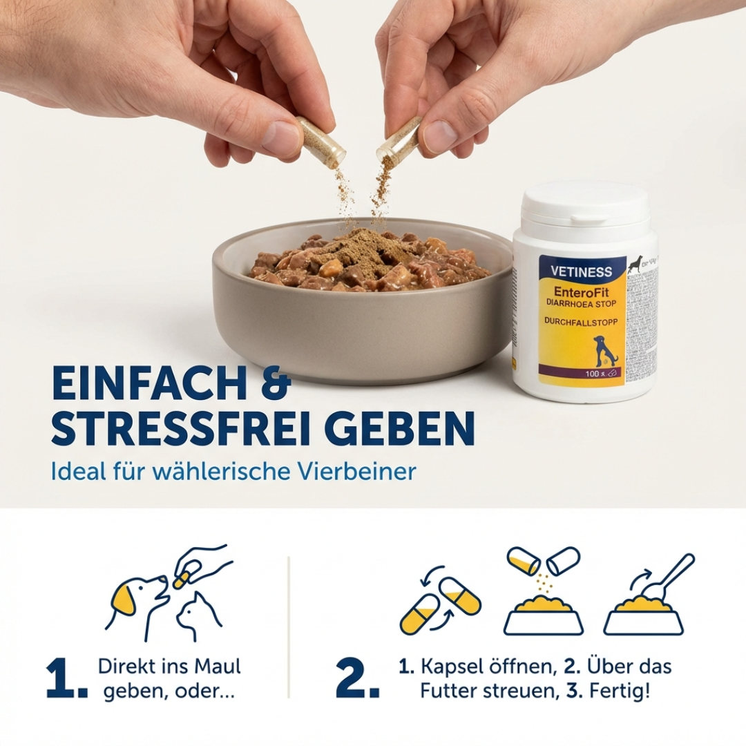 Capsules anti-diarrhée Vetiness EnteroFit