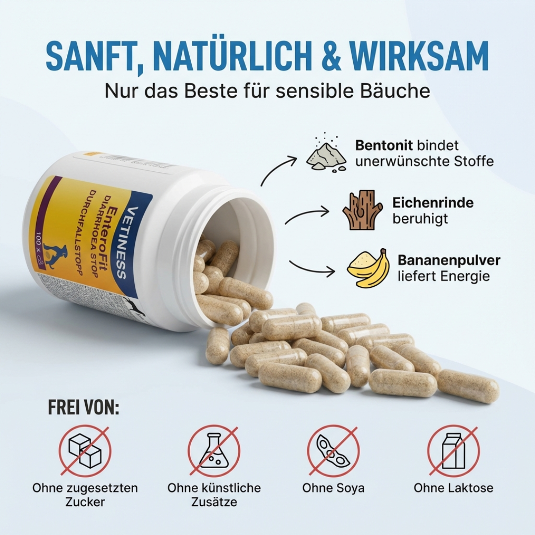 Capsules anti-diarrhée Vetiness EnteroFit