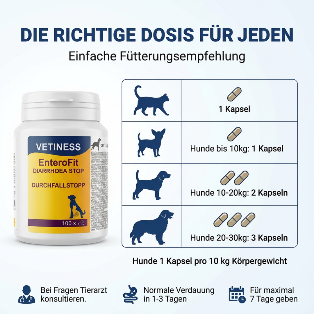 Capsules anti-diarrhée Vetiness EnteroFit