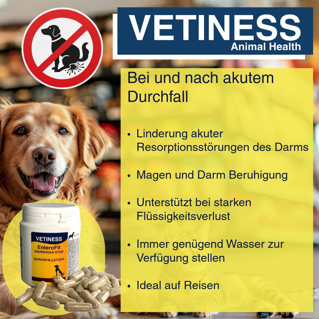 Capsules anti-diarrhée Vetiness EnteroFit