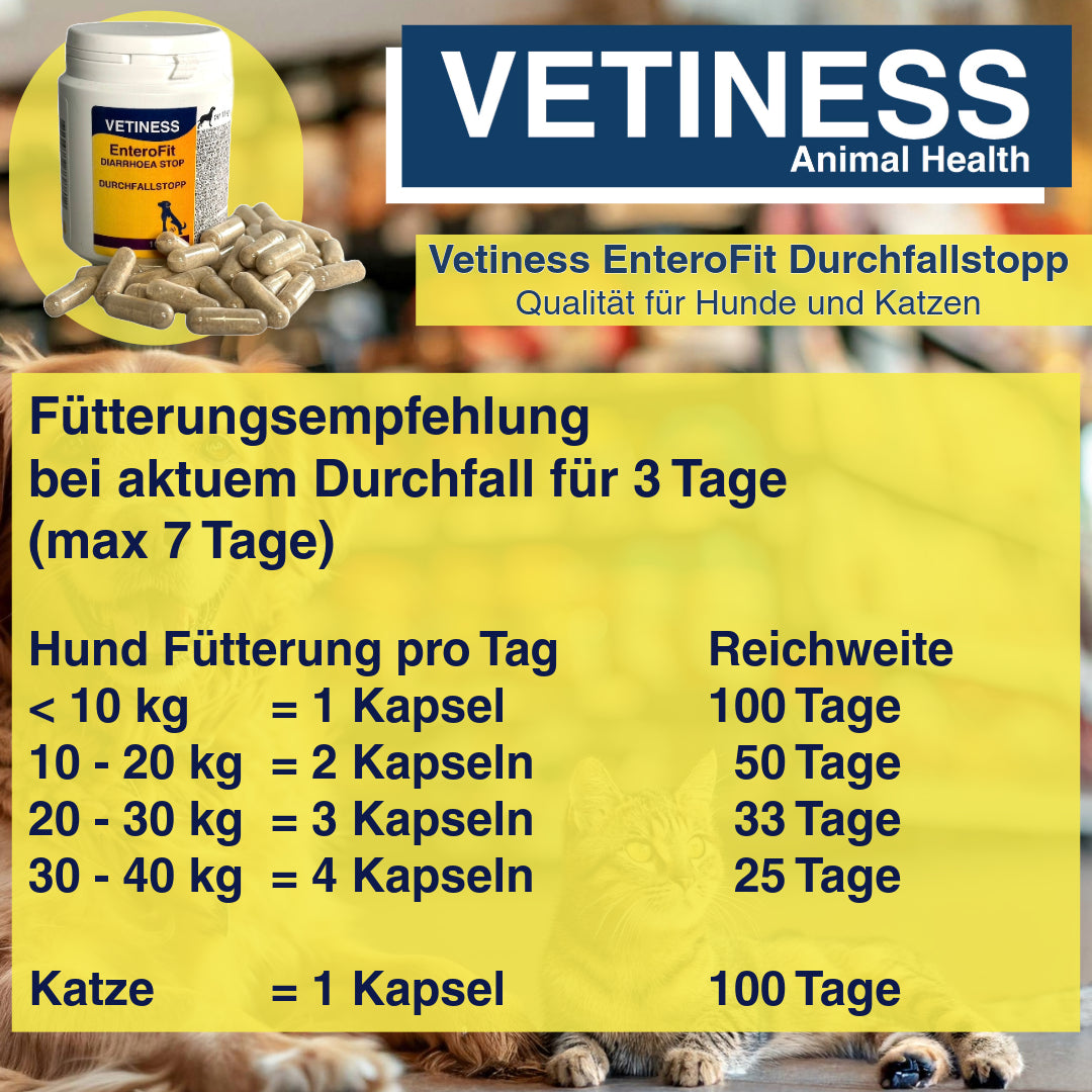 Capsules anti-diarrhée Vetiness EnteroFit