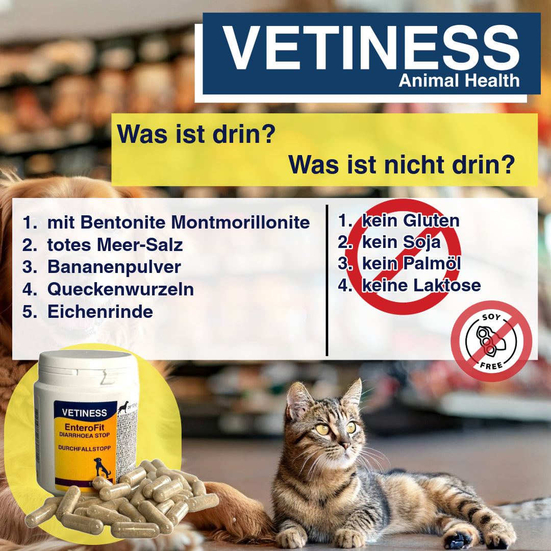 Capsules anti-diarrhée Vetiness EnteroFit