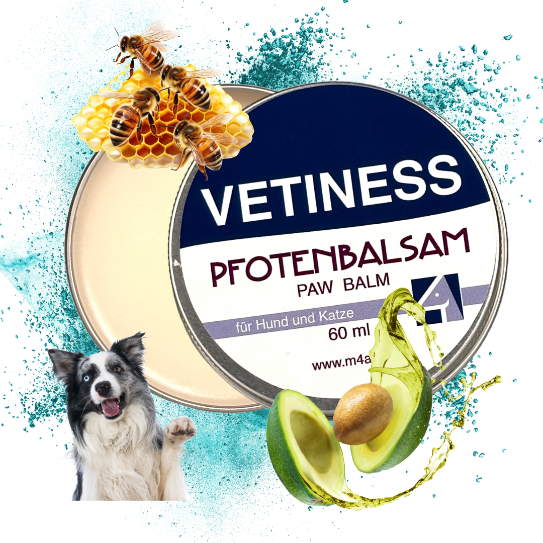 Baume pour pattes de chien Vetiness - Protection et soin des pattes sensibles de votre animal