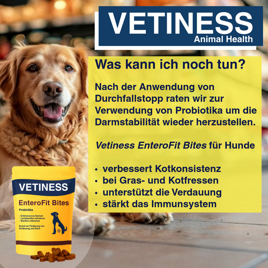 Vetiness Diarrhée Stop Chien et Chat