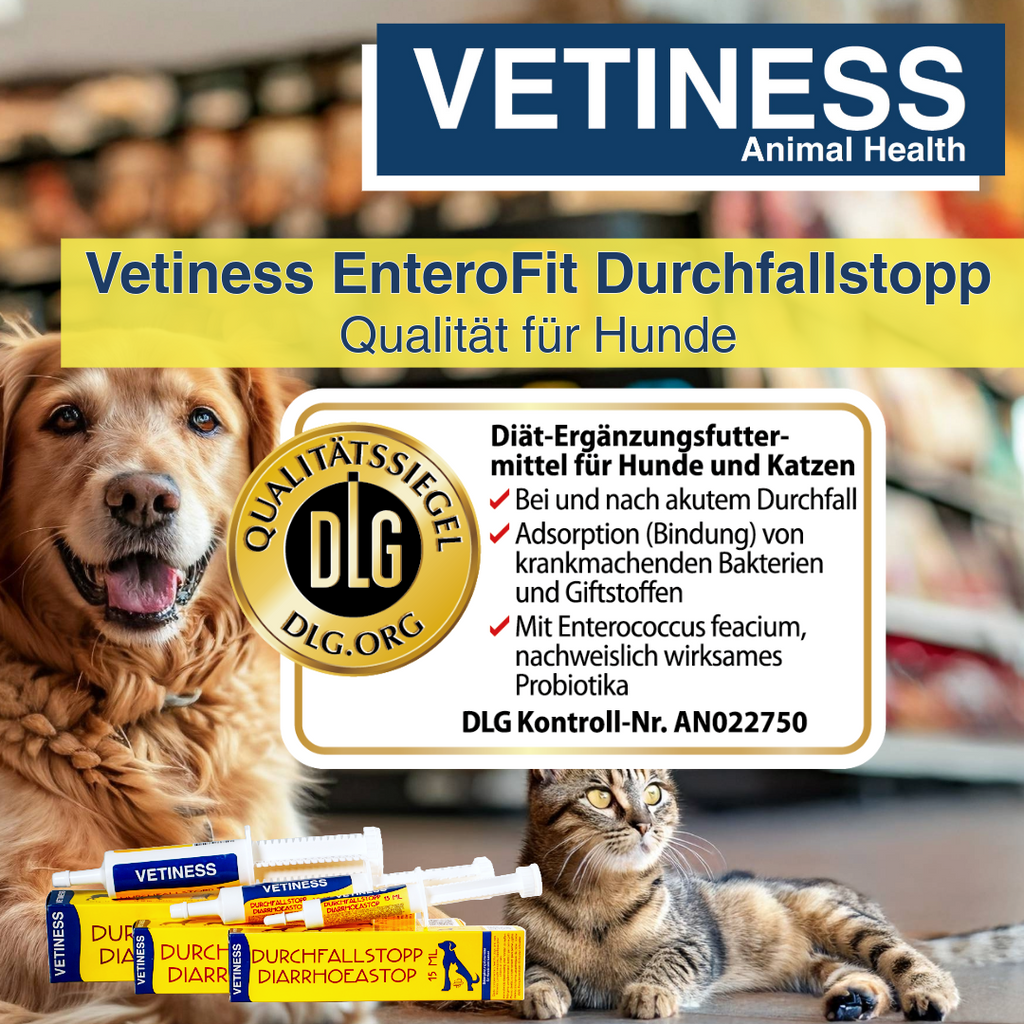 Vetiness Diarrhée Stop Chien et Chat