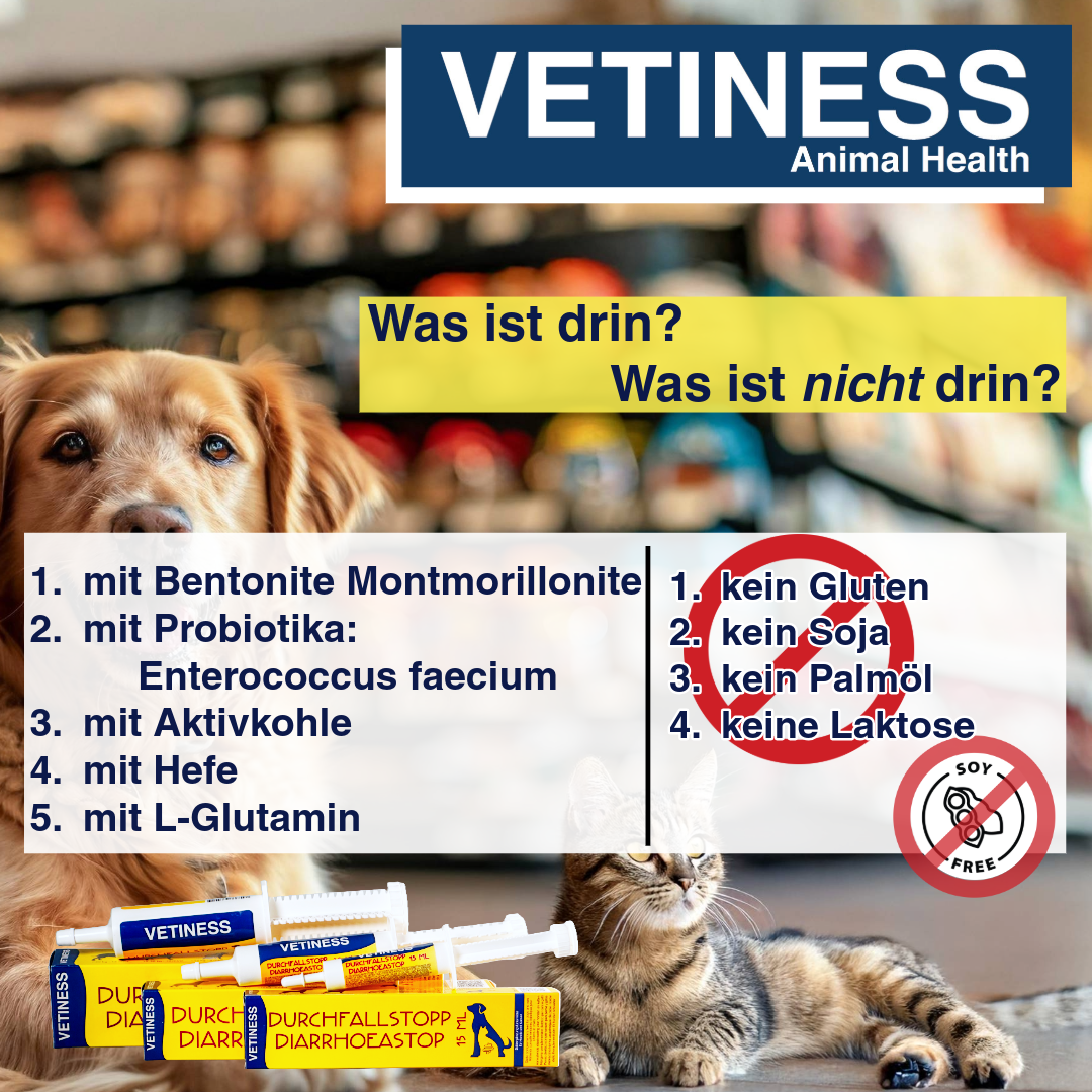 Vetiness Diarrhée Stop Chien et Chat