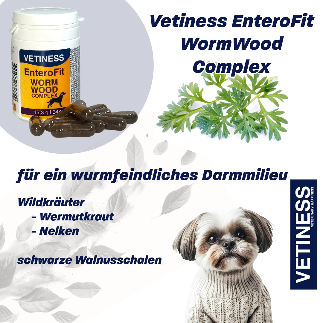 Complexe d'absinthe EnteroFit - pour chiens - 34 capsules