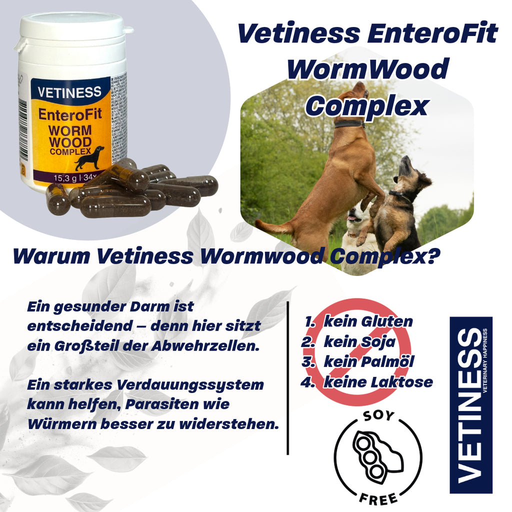 Complexe d'absinthe EnteroFit - pour chiens - 34 capsules