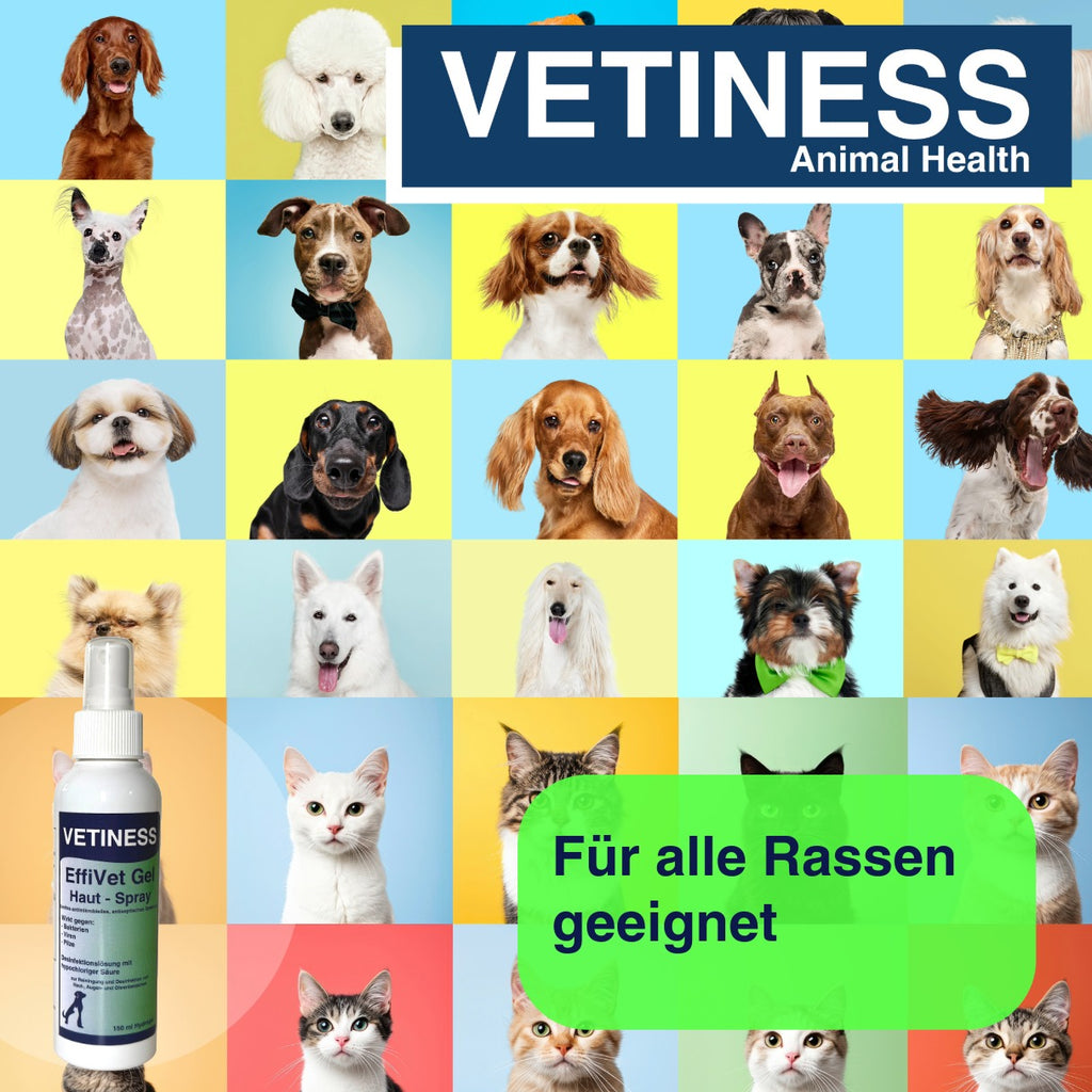 Vetiness EffiVet Gel Hautspray 150 ml