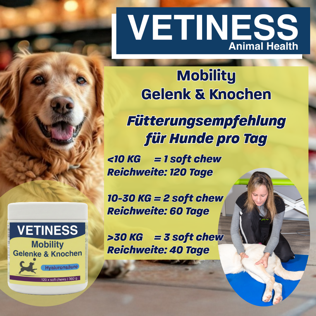 Vetiness Mobilité J&B soft chew