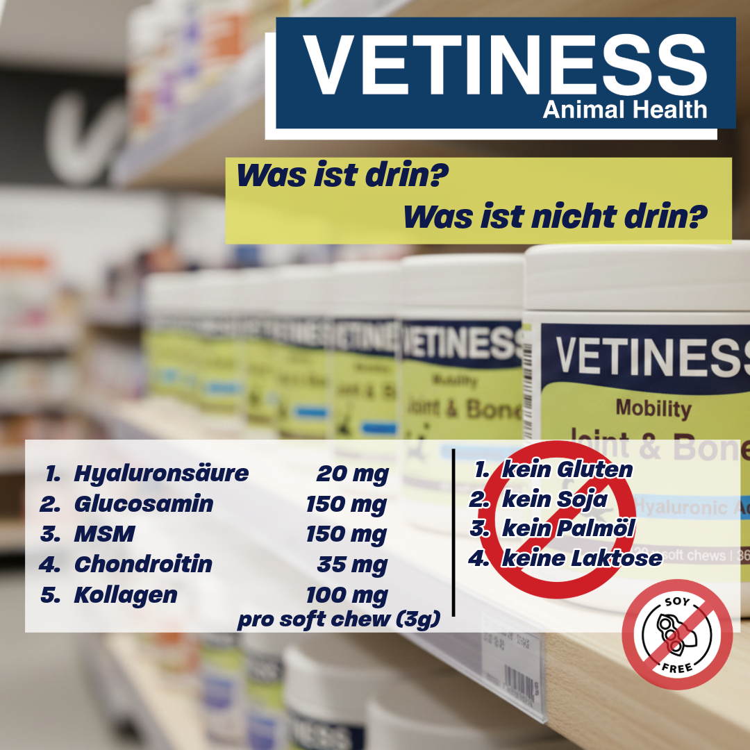 Vetiness Mobilité J&B soft chew