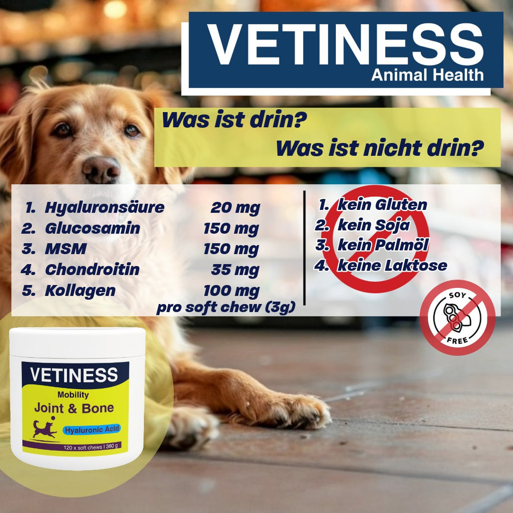 Vetiness Mobilité J&B soft chew