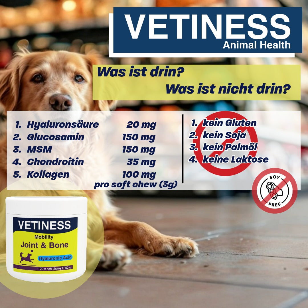 Vetiness Mobilité J&B soft chew