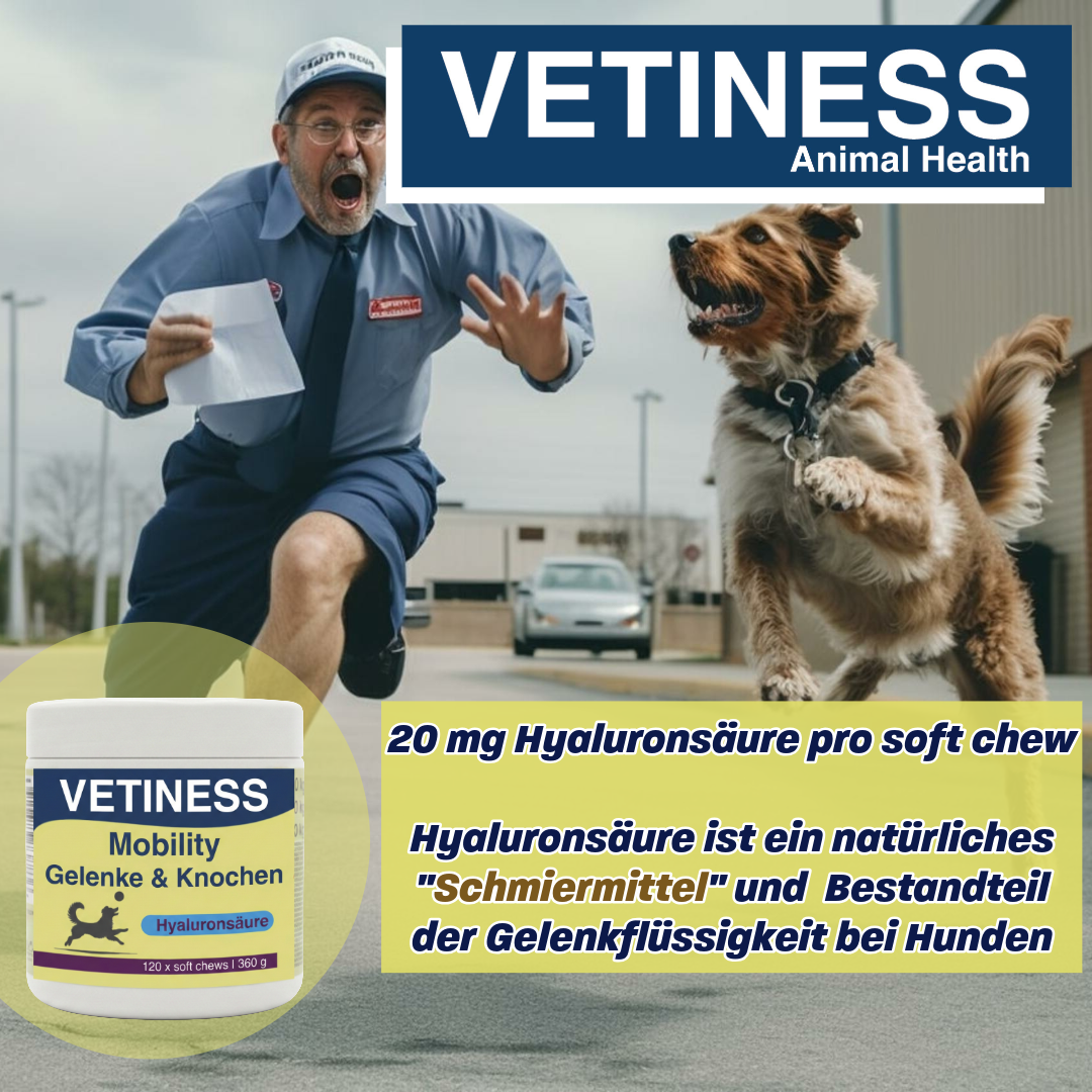 Vetiness Mobilité J&B soft chew