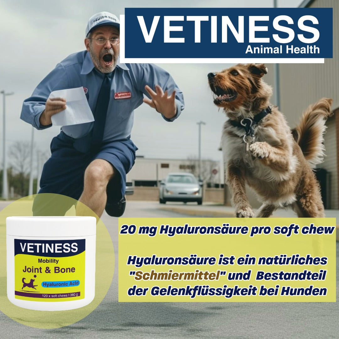 Vetiness Mobilité J&B soft chew