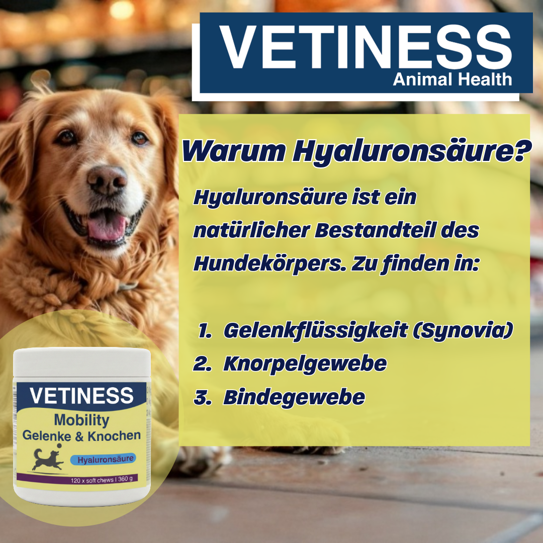 Vetiness Mobilité J&B soft chew