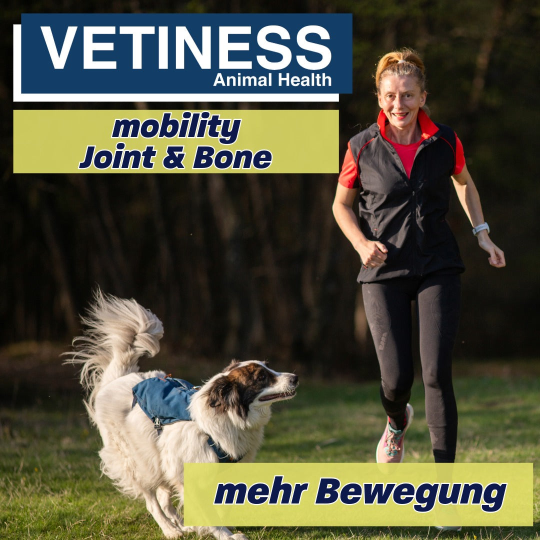 Vetiness Mobilité J&B soft chew