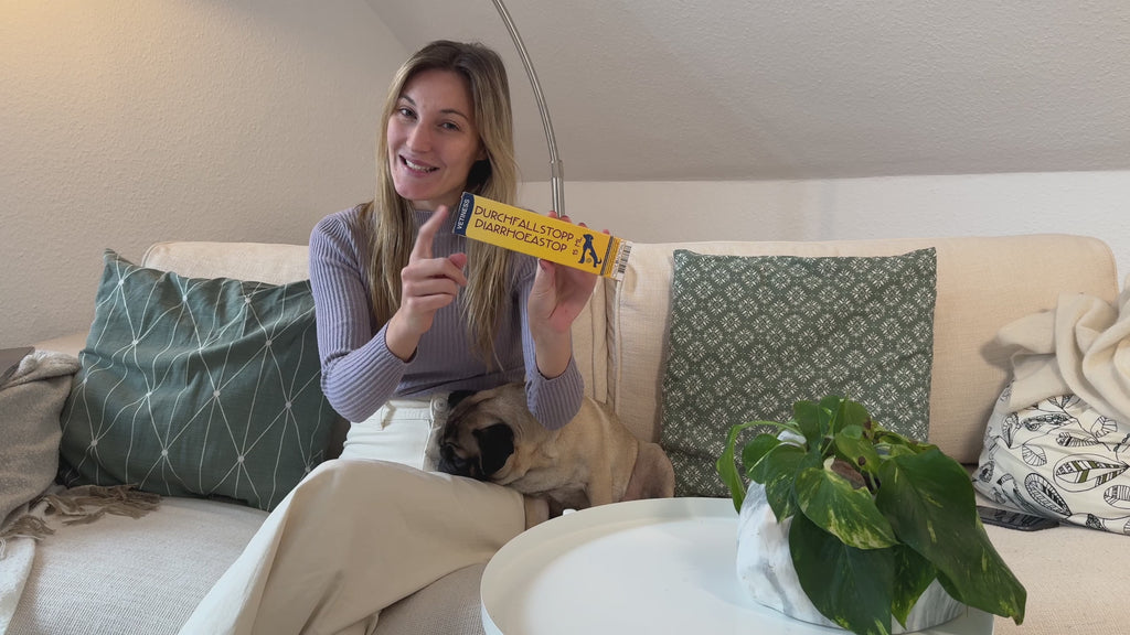 Vetiness Diarrhée Stop Chien et Chat