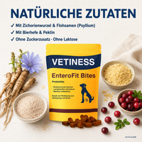Vetiness EnteroFit Bites – natürliche Zutaten mit Zichorienwurzel und Flohsamen