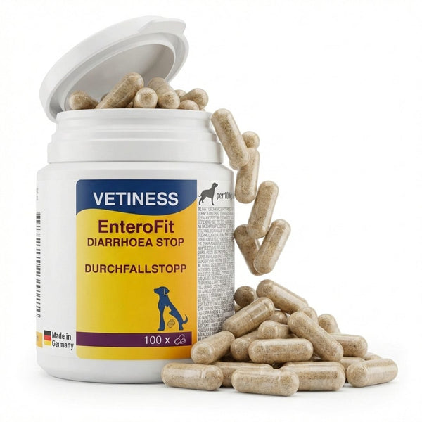 Capsules anti-diarrhée Vetiness EnteroFit