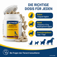 Vetiness EnteroFit Durchfallstopp Kapseln – die richtige Dosierung für Hund und Katze