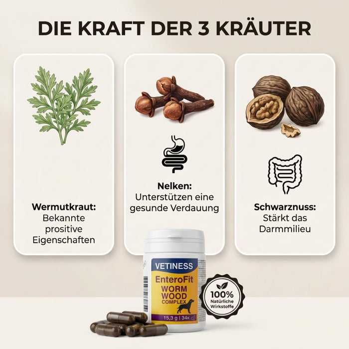 Vetiness EnteroFit Wormwood Complex – die Kraft der 3 Kräuter: Wermutkraut, Nelken, Schwarznuss