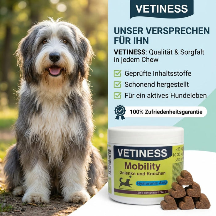 Vetiness Mobility – Qualität und Sorgfalt in jedem Chew