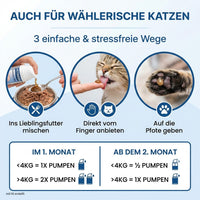 Vetiness Urinary Gel – drei stressfreie Wege der Anwendung bei Katzen